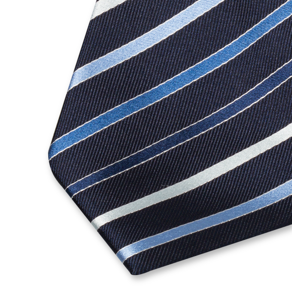 Cravate aux rayures bleues (2)